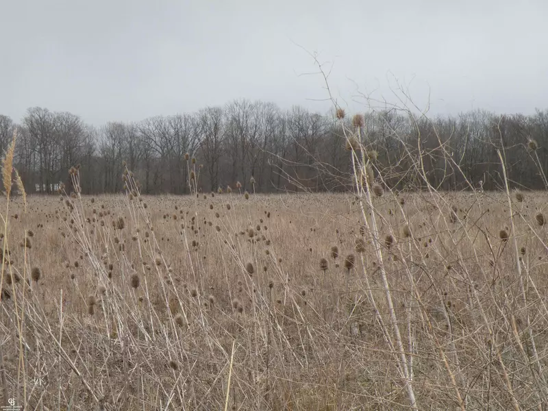 00 Place RD, Lenox, MI 48048