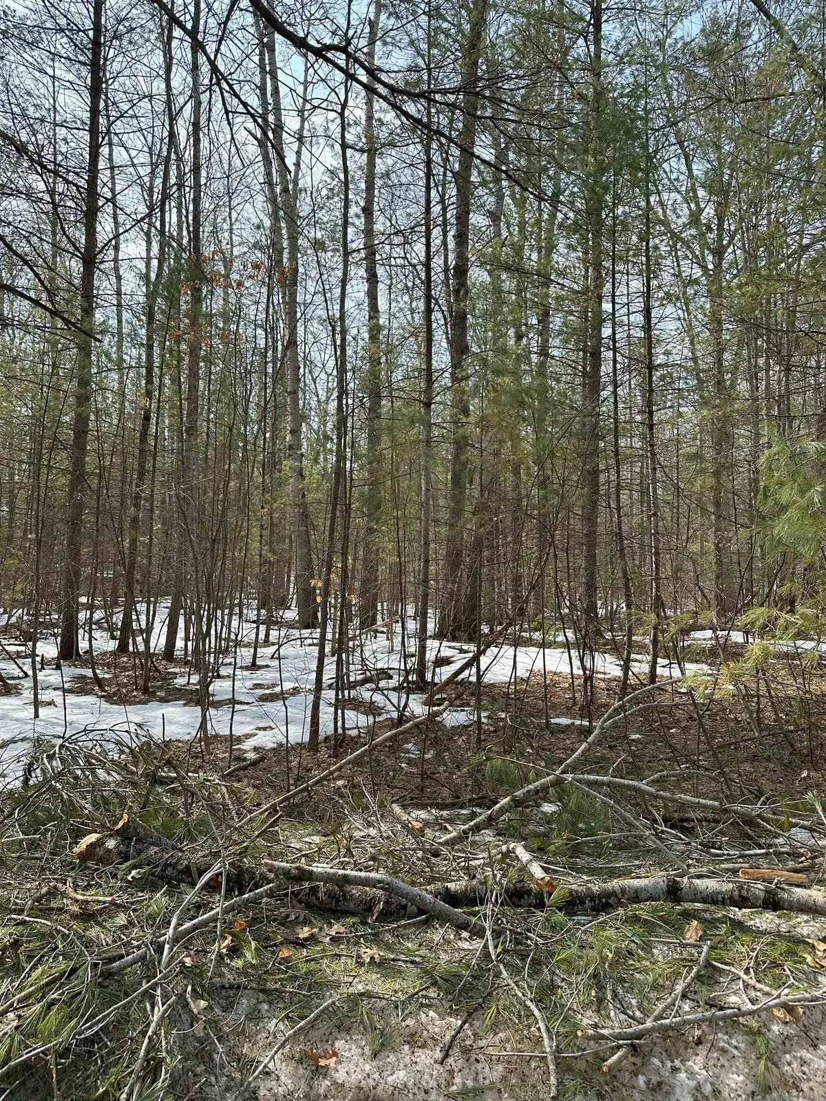 00 E Bear Lake RD, Bear Lake Twp, MI 49646