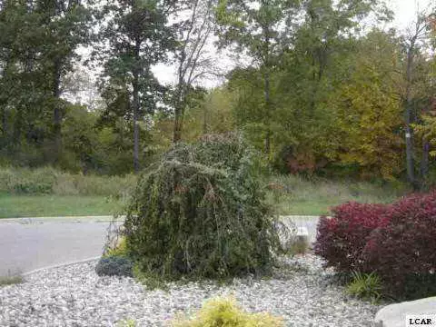 Adrian, MI 49221,1007 SAW MILL CT