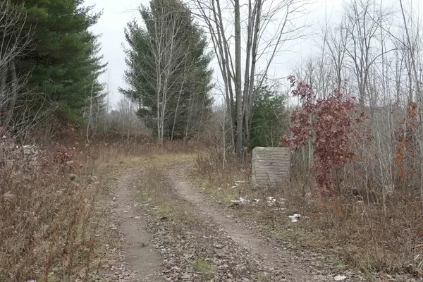 TBD E Pickard RD, Chippewa Twp, MI 48858