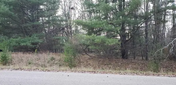 Robindale Way, Gladwin, MI 48624