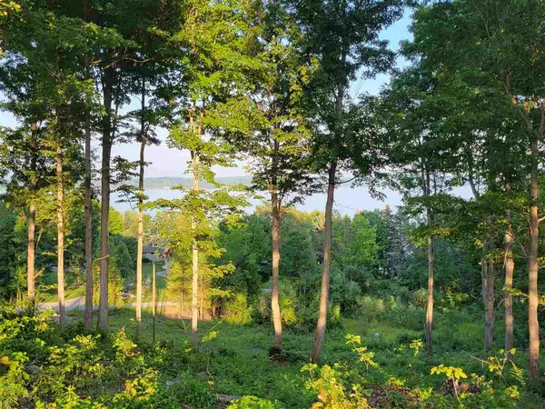 Rapid City, MI 49676,Lot 6 Torch Hills LN