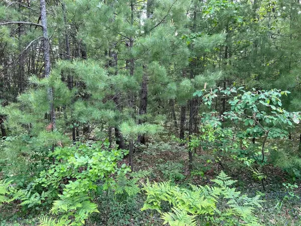 Grayling, MI 49738,Helen DR