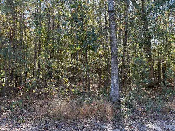 Mooringsport, LA 71060,00 Circle Square