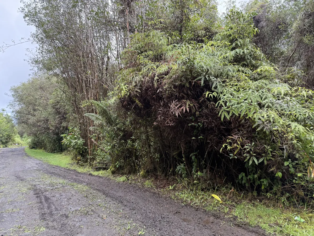 WAIKIKI ST, Mountain View, HI 96771