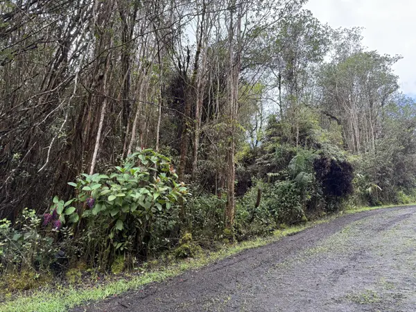 WAIKIKI ST, Mountain View, HI 96771