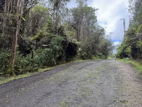 WAIKIKI ST, Mountain View, HI 96771