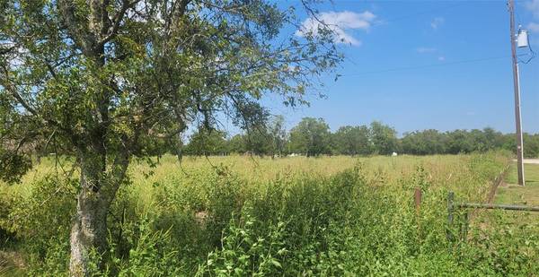 Waxahachie, TX 75165,TBD Holder Lot 1 Road