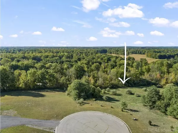 Dryden, MI 48428,0 Abby CT