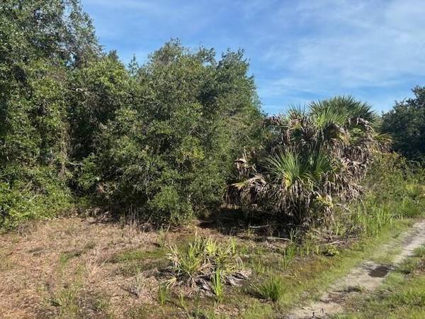 Okeechobee, FL 34972,0 NW 304th st