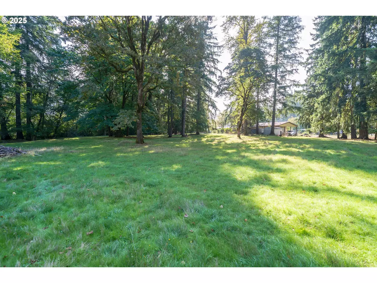 Lyons, OR 97358,0002317 E Dogwood DR (NEXT TO)