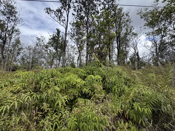 Volcano, HI 96785,Ala Naulani