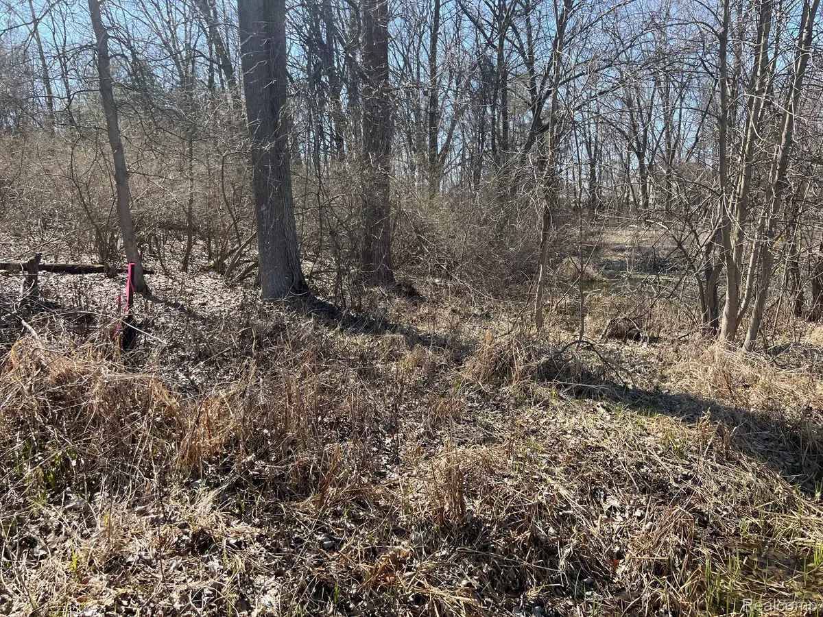 Metamora, MI 48455,VL 1.98 Ac LAKE LAPEER DR