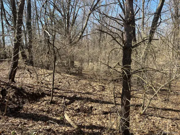 Metamora, MI 48455,VL 1.98 Ac LAKE LAPEER DR