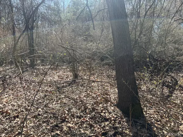 Metamora, MI 48455,VL 1.98 Ac LAKE LAPEER DR