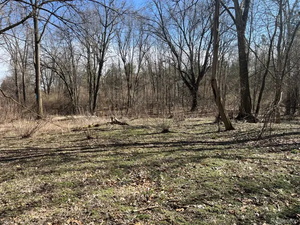 Metamora, MI 48455,VL 1.98 Ac LAKE LAPEER DR