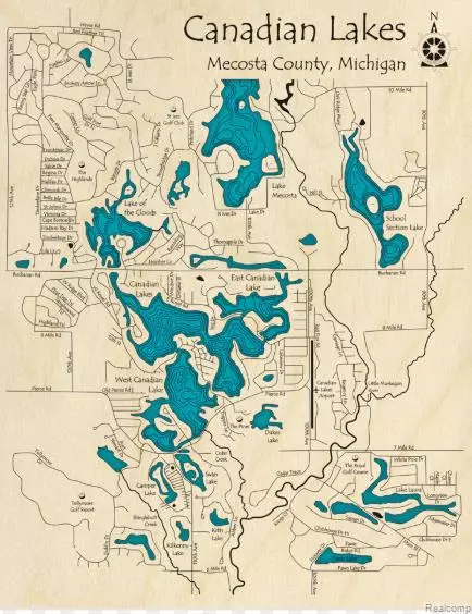 12095 REGINA DR, Stanwood, MI 49346