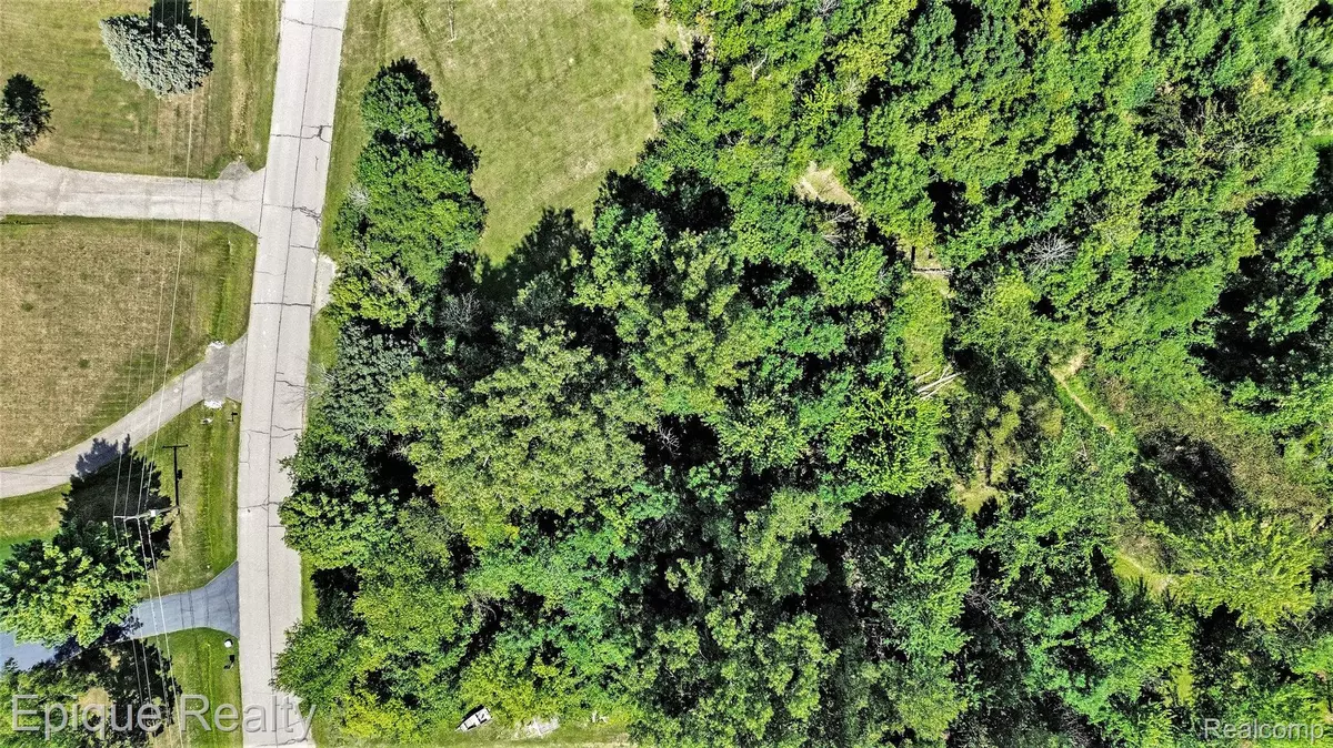 Goodrich, MI 48438,0 Shinanguag DR