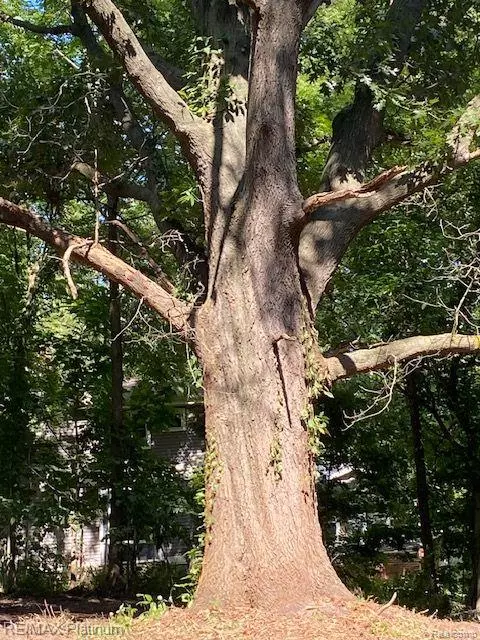 Pinckney, MI 48169,0 E Main-5 Acres ST