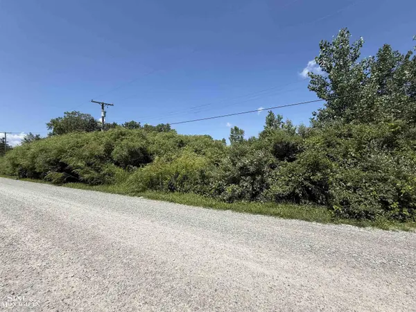 Port Huron, MI 48060,0 Wall RD