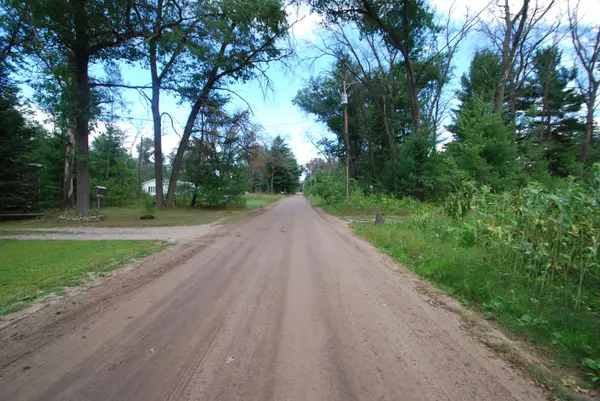 Prescott, MI 48756,LOT 20 George ST