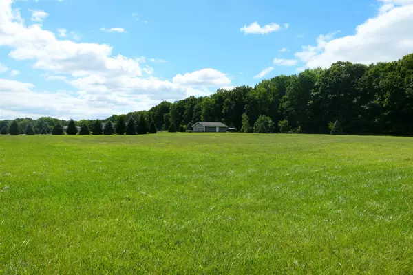 Saint Louis, MI 48880,5833 E Horse Creek