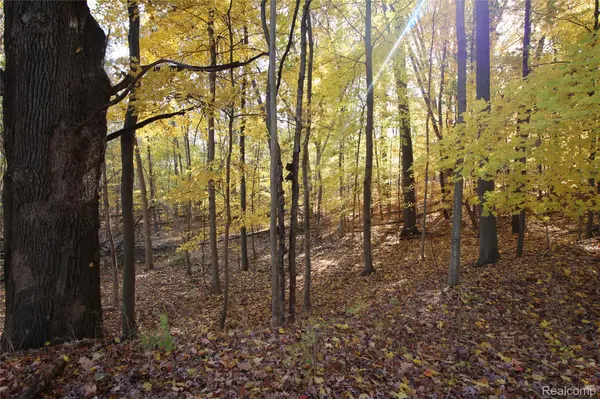 Lapeer, MI 48446,00 Rulane DR