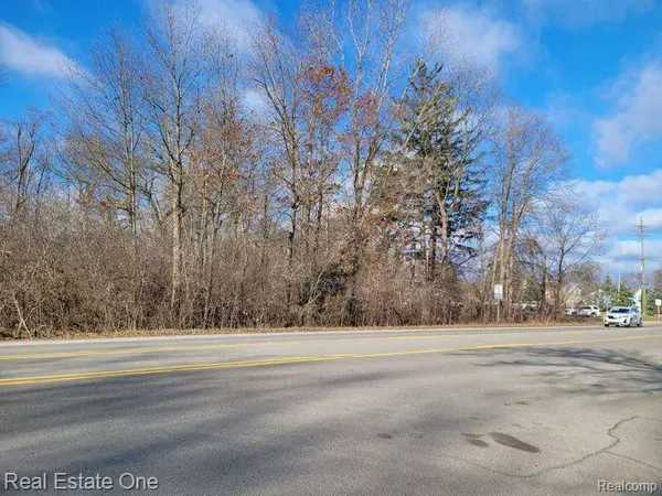 White Lake, MI 48386,0000 UNION LAKE ROAD