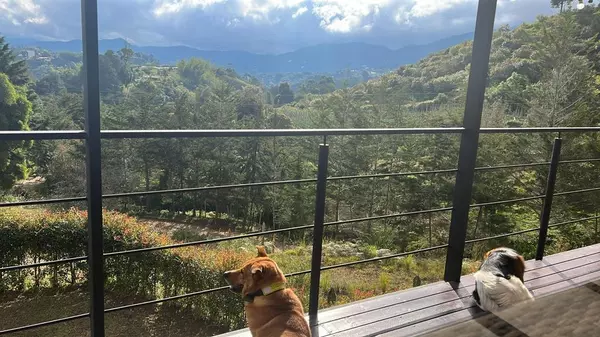 Via Santuario, Guamito El Penol, Medellin, Colombia, Other County - Not In Usa, CO Medellin