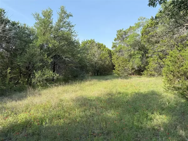 Glen Rose, TX 76043,TBD 2010 #Lot 4