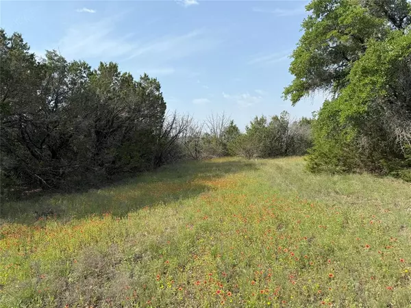 Glen Rose, TX 76043,TBD 2010 #Lot 4