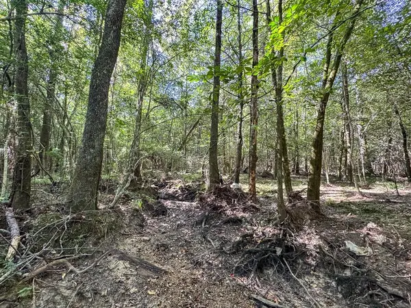 T-3 State Road 3205, Oberlin, LA 71463