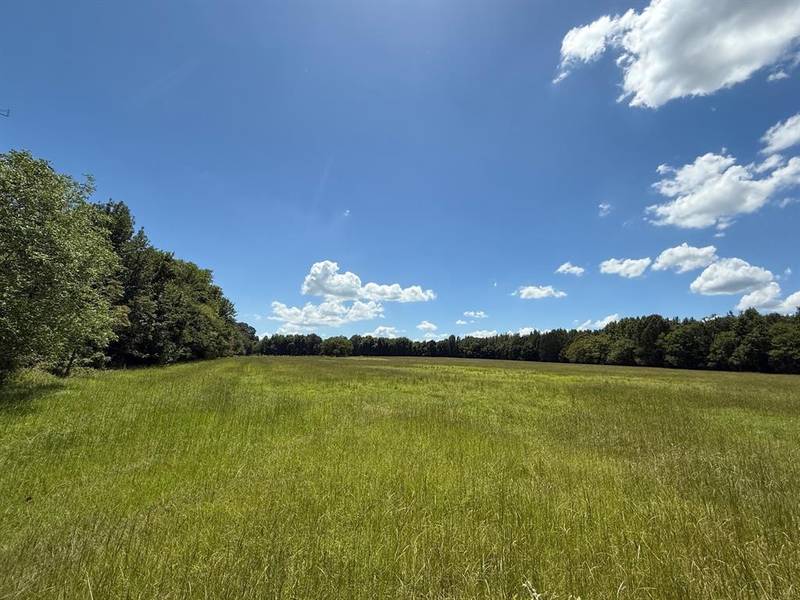 00 CR 1670, Mount Pleasant, TX 75455