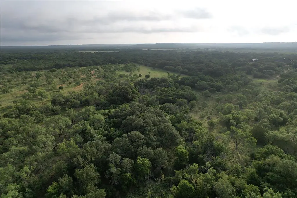 Ovalo, TX 79541,100+- Acres cr 159