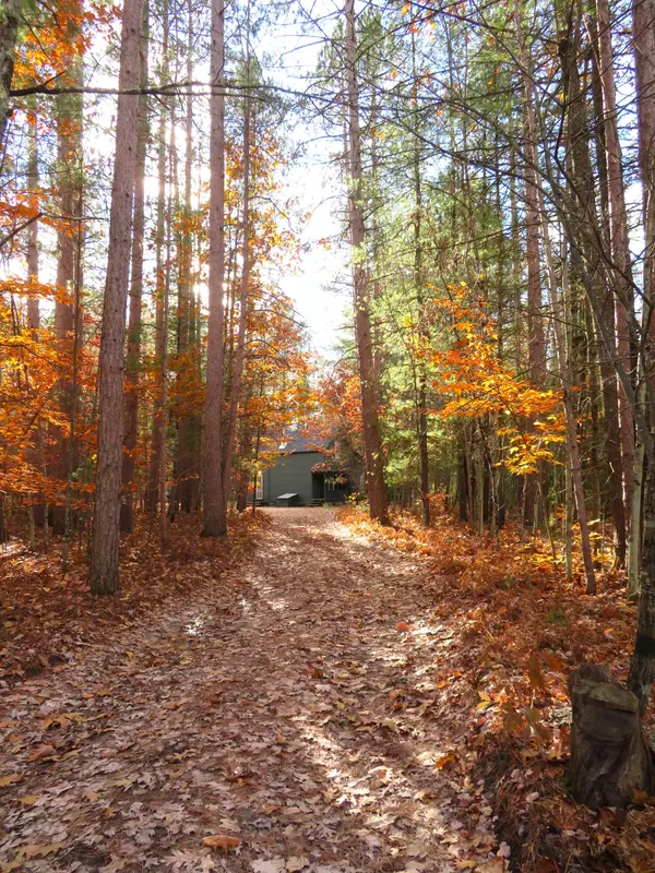 Wellston, MI 49689,12497 Chicago AVE