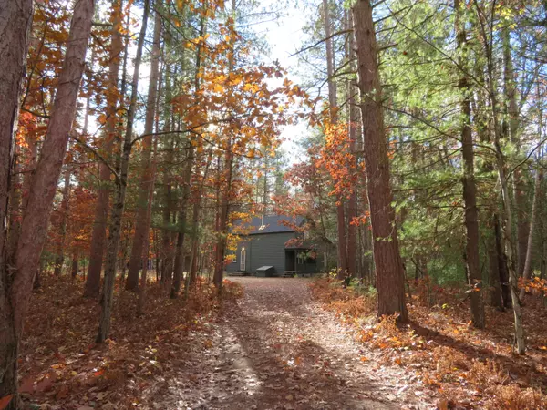 Wellston, MI 49689,12497 Chicago AVE