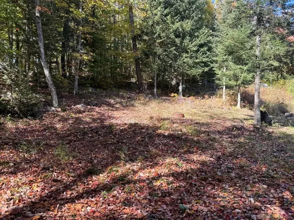 Ryerson, ON P0A 1C0,1118 Stoney RD