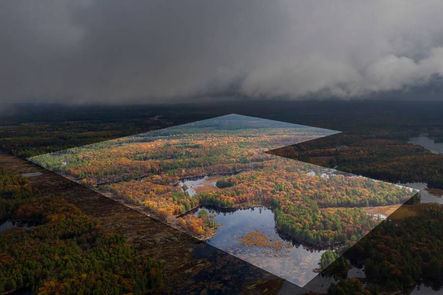 Address Not Disclosed