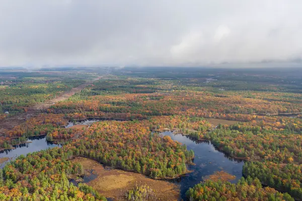 Lanark Highlands, ON K0A 1P0,LOT 14 & E 1/2 13 Concession 11 Darling N/A