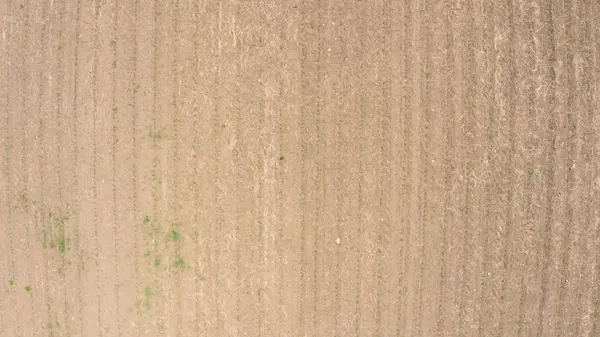 493696 BAPTIST CHURCH RD, West Grey, ON N0C 1K0