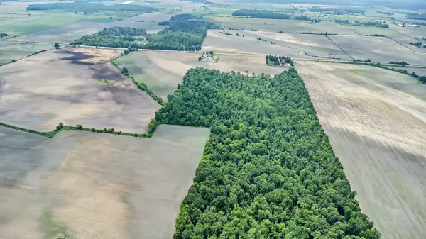 4431/4439 Frank Kenny RD, Orleans - Cumberland And Area, ON K0A 3H0