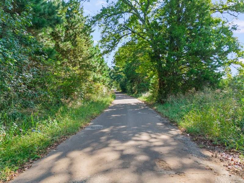 TBD Cat Road, Gilmer, TX 75644