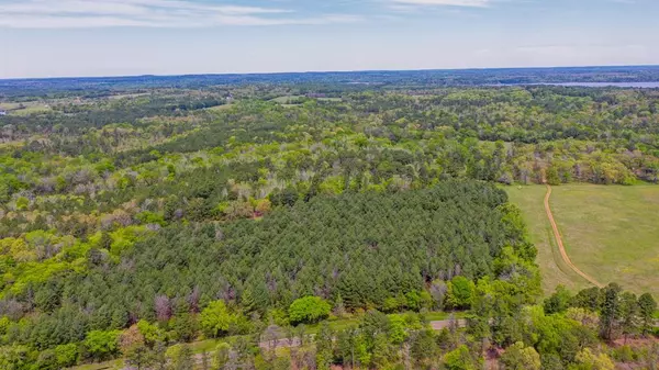 Larue, TX 75770,00 FM 315