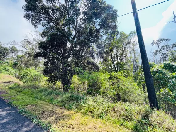 Ocean View, HI 96737,MAHIMAHI DR