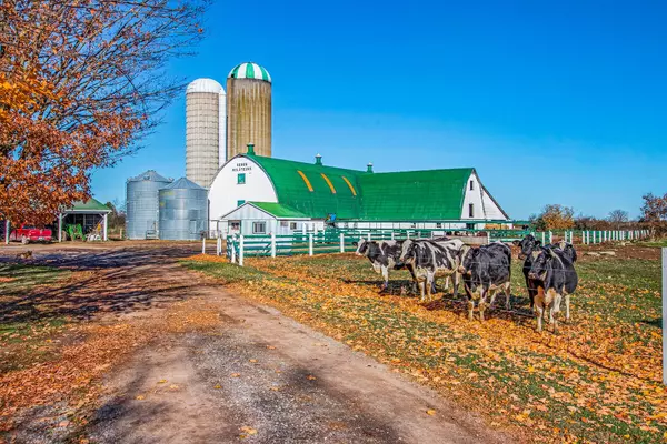 Selwyn, ON K9J 6X2,1048 Fifth Line