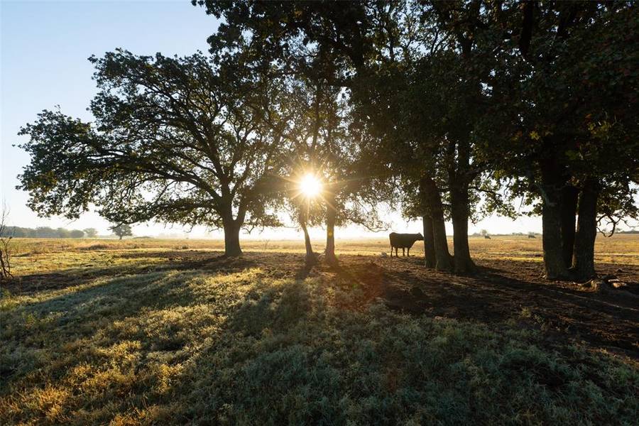 TBD Brushy Road #Tract 2, Granbury, TX 76048