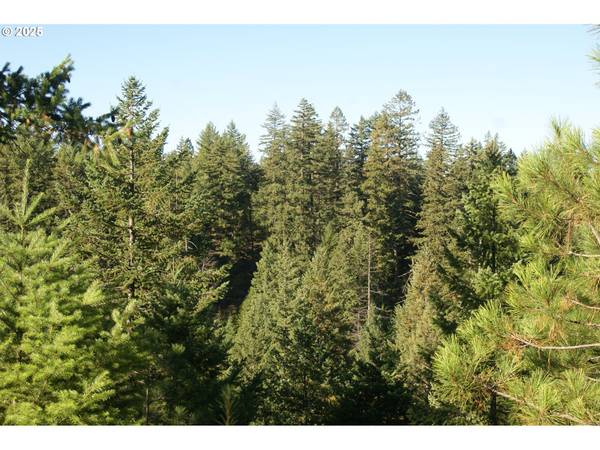 Goldendale, WA 98620,8 Ginger WAY