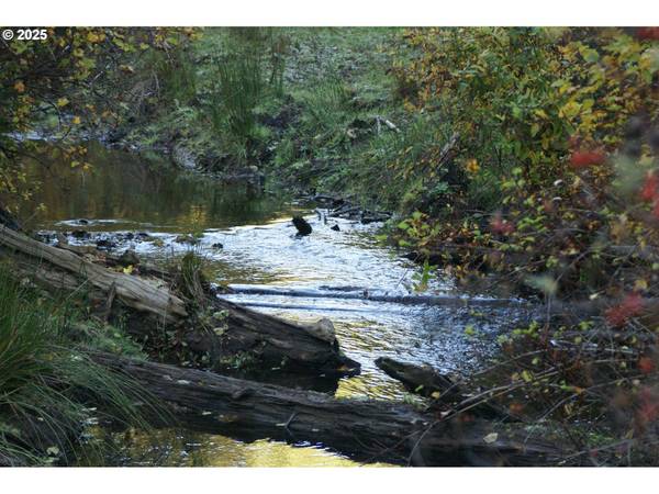 Goldendale, WA 98620,8 Ginger WAY