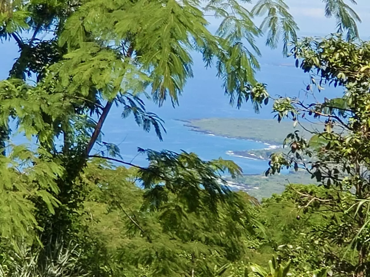 Captain Cook, HI 96704,87-457 KAOHE MAUKA RD