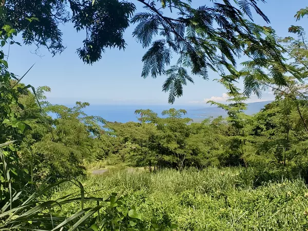 Captain Cook, HI 96704,87-457 KAOHE MAUKA RD